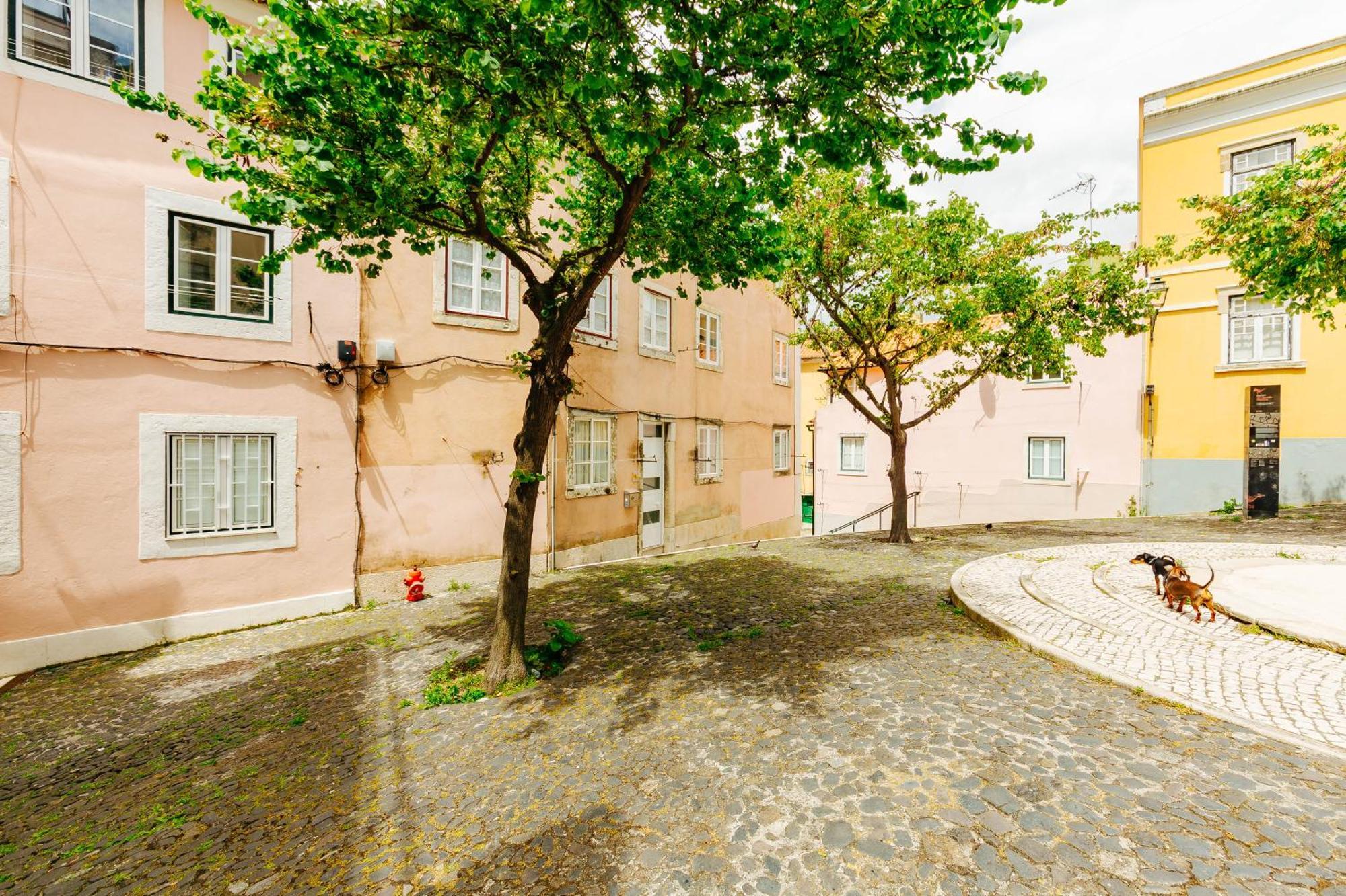 Rent4Rest Lisbon Downtown Tiny Studio Apartments Zewnętrze zdjęcie